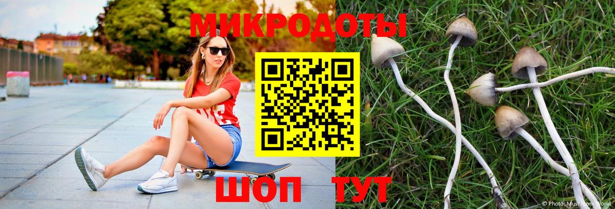 Псилоцибиновые грибы мухоморы  Вход с VPN  Краснотурьинск 